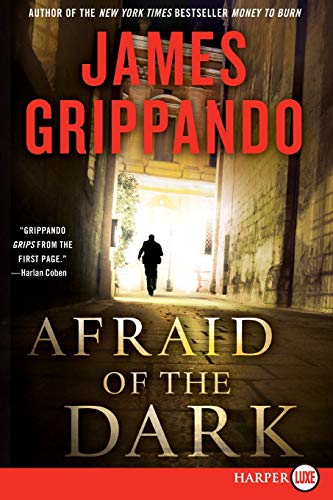 9780062017970: Afraid of the Dark: A Novel of Suspense