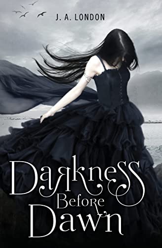 Imagen de archivo de Darkness Before Dawn a la venta por Nelsons Books