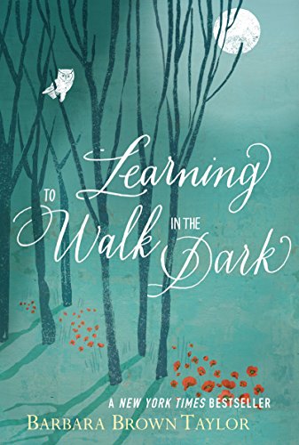 Beispielbild fr Learning to Walk in the Dark zum Verkauf von Goodwill