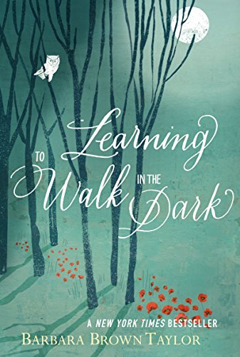 Beispielbild fr Learning to Walk in the Dark zum Verkauf von Wonder Book