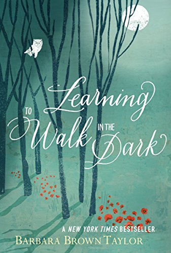 9780062024350: Learning to Walk in the Dark