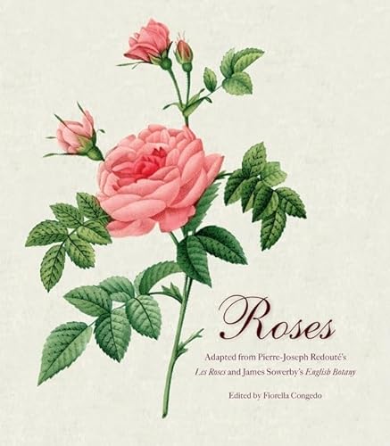 9780062039552: Roses: Mini Archive with DVD