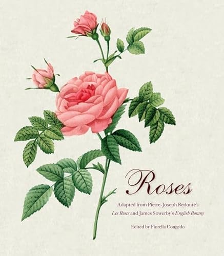 9780062039552: Roses: Mini Archive with DVD