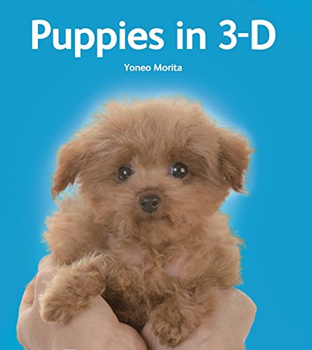 Beispielbild fr Puppies in 3-D zum Verkauf von Wonder Book