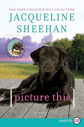 Stock image for Picture This: A Novel (Peaks Island, 2) for sale by Discover Books