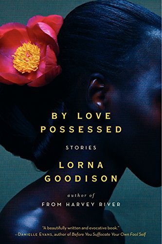 Imagen de archivo de By Love Possessed: Stories a la venta por BooksRun