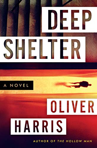 Imagen de archivo de Deep Shelter: A Novel (Detective Nick Belsey Series) a la venta por SecondSale