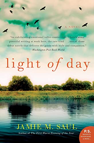 9780062190932: Light of Day: A Novel