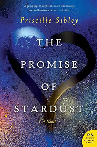 Imagen de archivo de The Promise of Stardust: A Novel a la venta por SecondSale