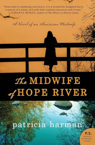 9780062198891: The Midwife of Hope River: A Novel of an American Midwife
