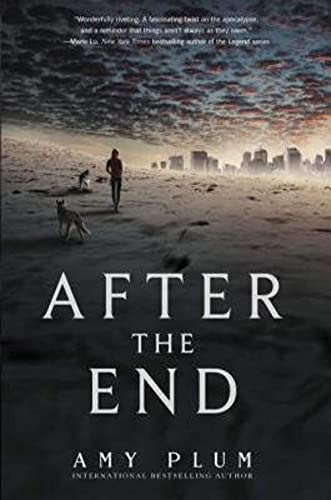 Stock image for After the End for sale by SecondSale