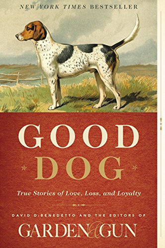 Stock image for Good Dog : True Stories of Love, Loss, and Loyalty for sale by Better World Books