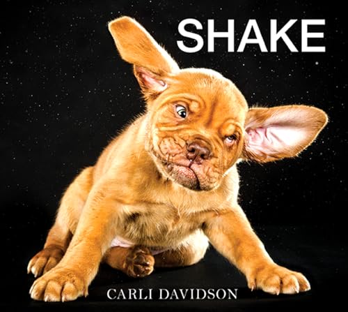 Imagen de archivo de Shake a la venta por Goldstone Books