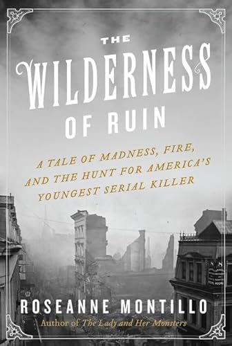 9780062273475: The Wilderness of Ruin: A Tale of Madness, Fire, and the Hunt for America's Youngest Serial Killer