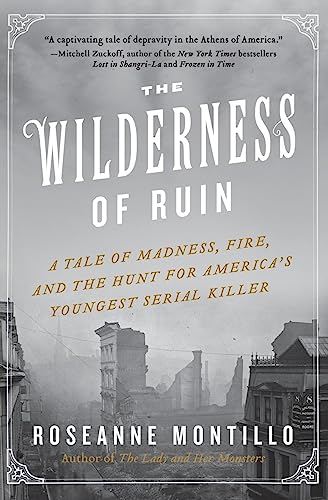 9780062273482: The Wilderness of Ruin: A Tale of Madness, Fire, and the Hunt for America's Youngest Serial Killer