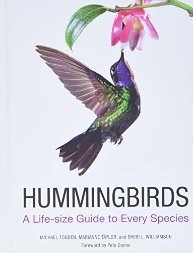 9780062280640: Hummingbirds: A Life-Size Guide to Every Species