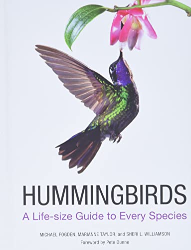9780062280640: Hummingbirds: A Life-size Guide to Every Species