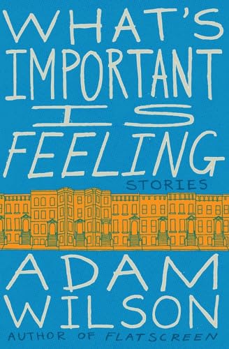 Stock image for What's Important Is Feeling: Stories for sale by BooksRun