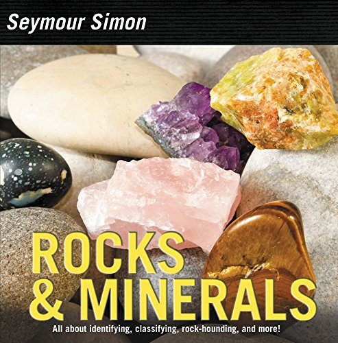 Beispielbild fr Rocks & Minerals zum Verkauf von Buchpark