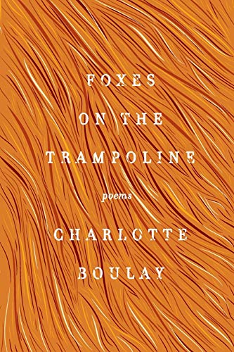 9780062302496: Foxes on the Trampoline: Poems