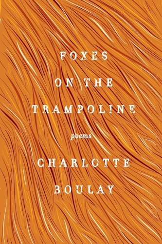 Stock image for Foxes on the Trampoline : Poems for sale by Better World Books
