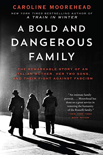 Imagen de archivo de A Bold and Dangerous Family: The Remarkable Story of an Italian Mother, Her Two Sons, and Their Fight Against Fascism (The Resistance Quartet, 3) a la venta por KuleliBooks