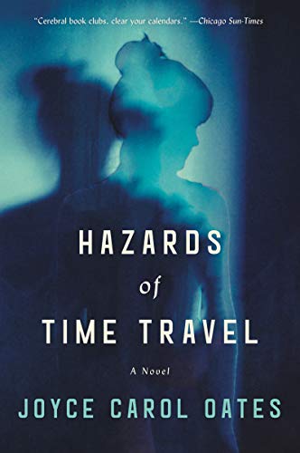 Imagen de archivo de Hazards of Time Travel: A Novel a la venta por ZBK Books