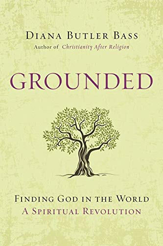 Stock image for Grounded: Finding God in the World-A Spiritual Revolution for sale by Jenson Books Inc