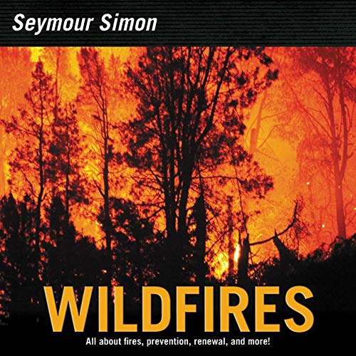 Beispielbild fr Wildfires zum Verkauf von Better World Books
