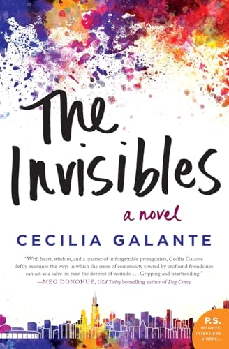 Stock image for The Invisibles: A Novel for sale by Wonder Book