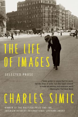 Stock image for The Life of Images: Selected Prose for sale by SecondSale