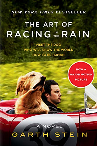 Stock image for The Art of Racing in the Rain Tie-in: A Novel for sale by Your Online Bookstore