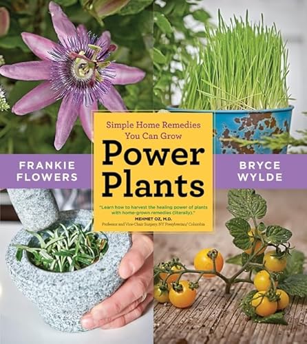 Beispielbild fr Power Plants : Simple Home Remedies You Can Grow zum Verkauf von Better World Books