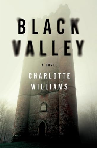 Beispielbild fr Black Valley zum Verkauf von Valley Books