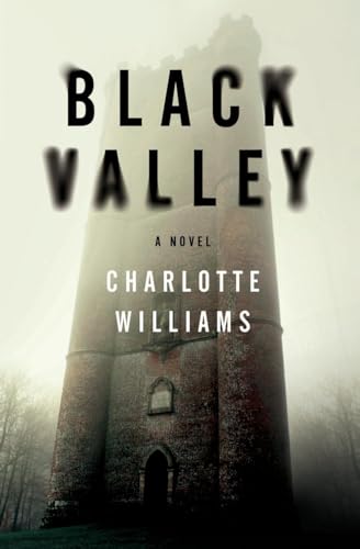 Imagen de archivo de Black Valley: A Novel a la venta por Books End Bookshop