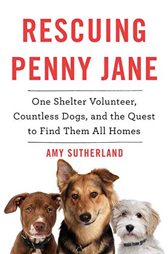 9780062377234: Rescuing Penny Jane: One Shelter Volunteer, Countless Dogs, and the Quest to Find Them All Homes