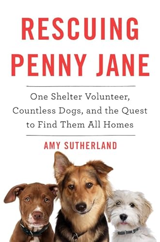 Stock image for Rescuing Penny Jane : One Shelter Volunteer, Countless Dogs, and the Quest to Find Them All Homes for sale by Better World Books