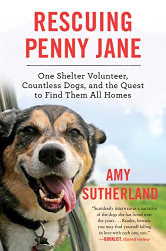 Imagen de archivo de Rescuing Penny Jane : One Shelter Volunteer, Countless Dogs, and the Quest to Find Them All Homes a la venta por Better World Books: West