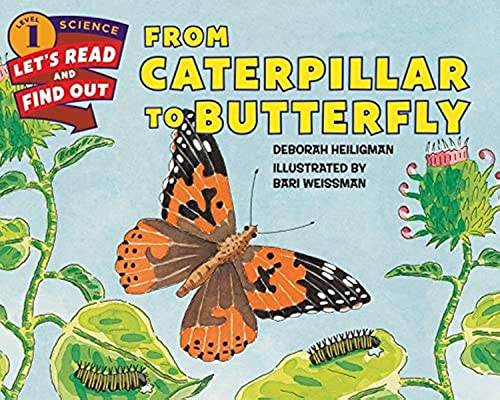 Stock image for From Caterpillar to Butterfly (Let's-Read-and-Find-Out Science 1) for sale by Reliant Bookstore