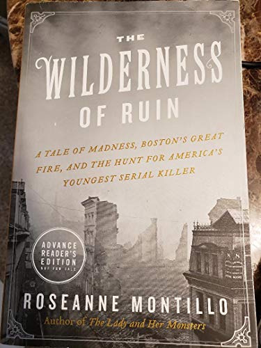 9780062390066: The Wilderness of Ruin