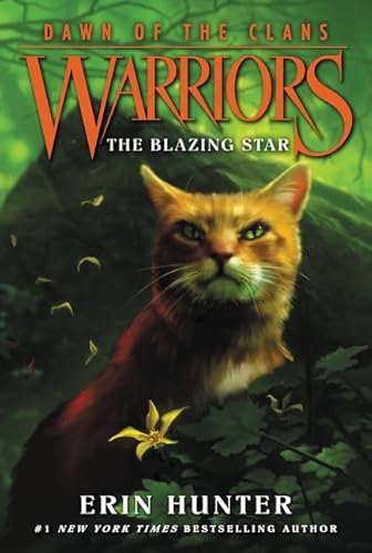 Beispielbild fr Warriors: Dawn of the Clans 4 WARRIORS: DAWN OF THE CLANS #4: THE BLAZING STAR zum Verkauf von AwesomeBooks