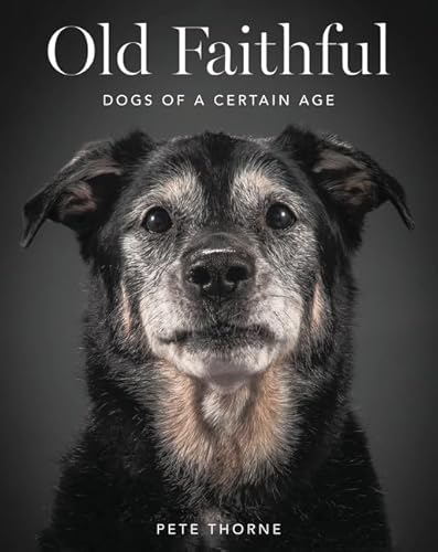 9780062413451: Old Faithful: Dogs of a Certain Age