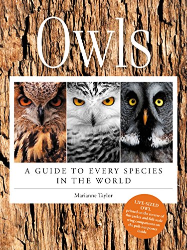 9780062413888: Owls: A Guide to Every Species in the World