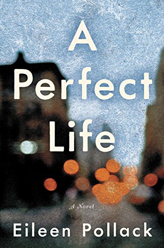 Beispielbild fr A Perfect Life zum Verkauf von Valley Books