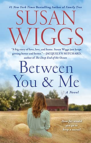 Stock image for Between You and Me: A Novel for sale by Gulf Coast Books