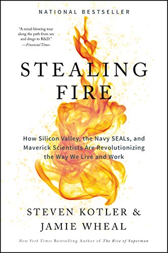 Imagen de archivo de Stealing Fire: How Silicon Valley, the Navy SEALs, and Maverick Scientists Are Revolutionizing the Way We Live and Work a la venta por Dream Books Co.