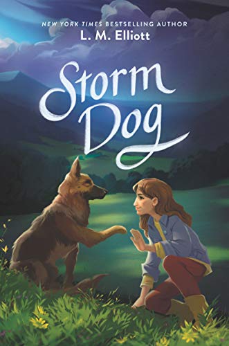 Imagen de archivo de Storm Dog a la venta por ZBK Books