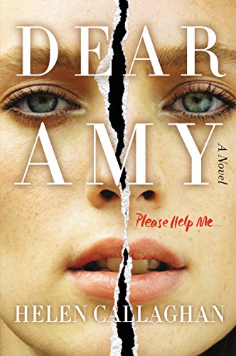 9780062433923: DEAR AMY: A Novel