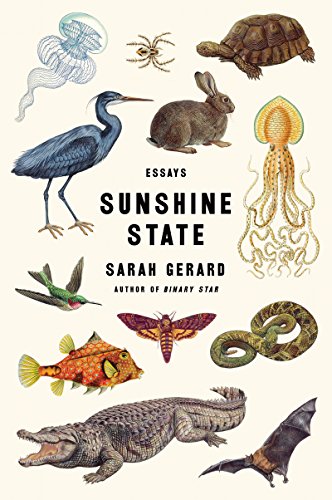 Imagen de archivo de Sunshine State: Essays a la venta por SecondSale