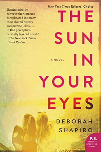 Beispielbild fr The Sun in Your Eyes: A Novel zum Verkauf von Wonder Book